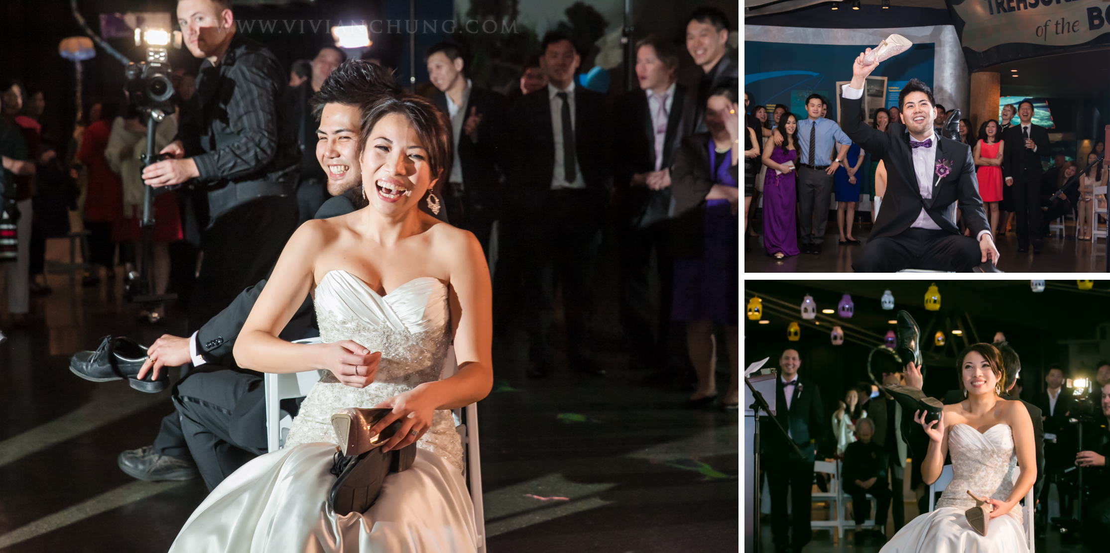 Shawn and michelle wedding, Vancouver Aquarium, Vancouver Aquarium Wedding